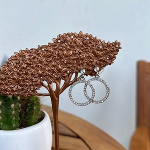 Crystal silver earrings ✨